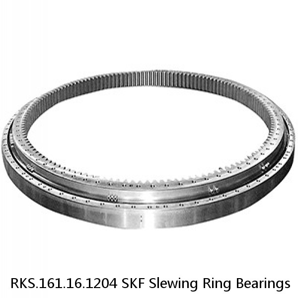RKS.161.16.1204 SKF Slewing Ring Bearings