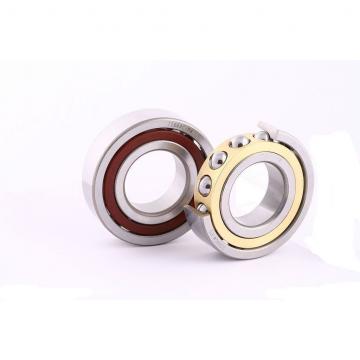 2.756 Inch | 70 Millimeter x 3.937 Inch | 100 Millimeter x 2.244 Inch | 57 Millimeter  INA SL15914  Cylindrical Roller Bearings