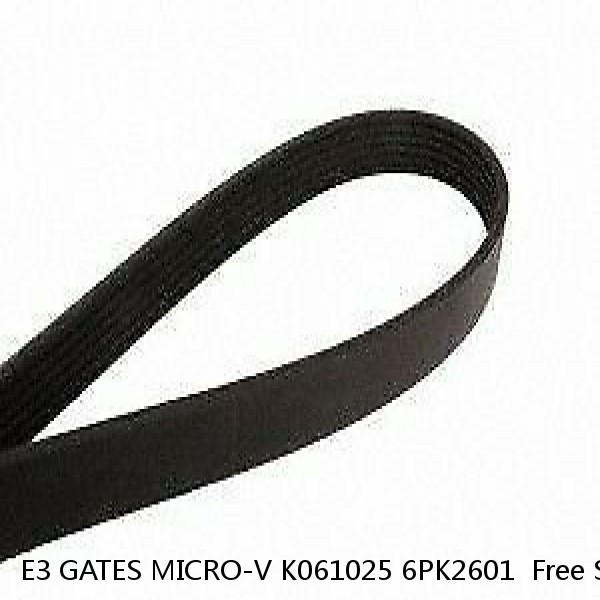 E3 GATES MICRO-V K061025 6PK2601  Free Shipping
