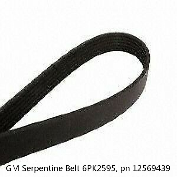 GM Serpentine Belt 6PK2595, pn 12569439