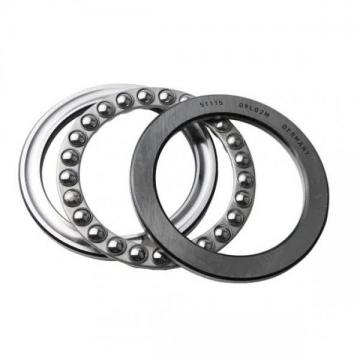 Hot Sale SKF Chrome Steel Snl 515 Bearing with Housing