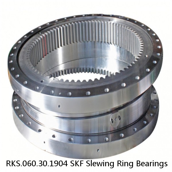 RKS.060.30.1904 SKF Slewing Ring Bearings