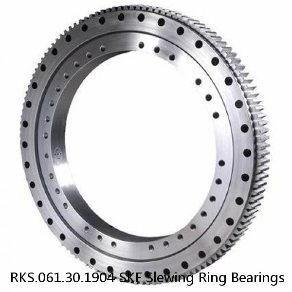 RKS.061.30.1904 SKF Slewing Ring Bearings