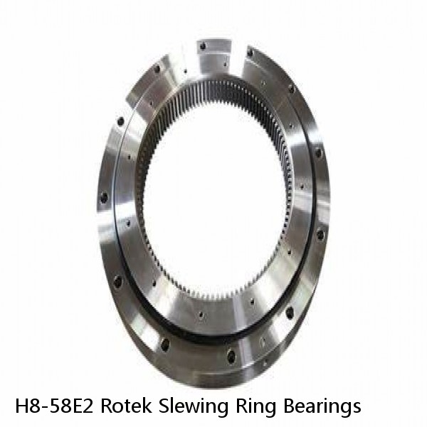 H8-58E2 Rotek Slewing Ring Bearings