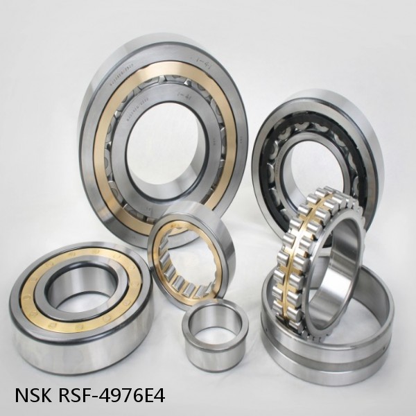 RSF-4976E4 NSK CYLINDRICAL ROLLER BEARING #1 small image