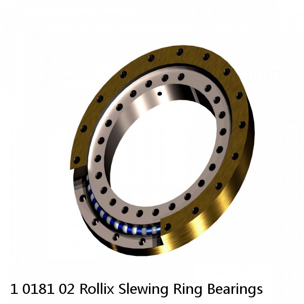 1 0181 02 Rollix Slewing Ring Bearings #1 small image