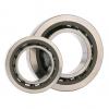 3.346 Inch | 85 Millimeter x 5.906 Inch | 150 Millimeter x 1.102 Inch | 28 Millimeter  SKF N 217 ECP/C3  Cylindrical Roller Bearings #1 small image