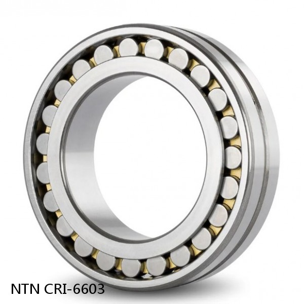 CRI-6603 NTN Cylindrical Roller Bearing