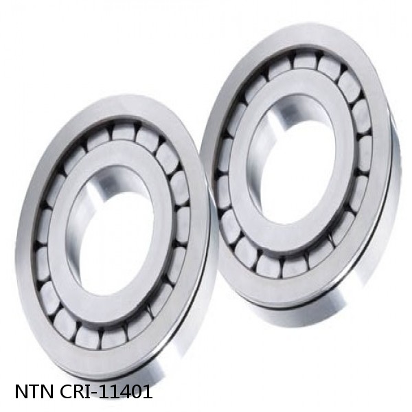 CRI-11401 NTN Cylindrical Roller Bearing #1 small image