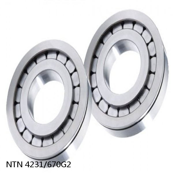 4231/670G2 NTN Cylindrical Roller Bearing #1 small image