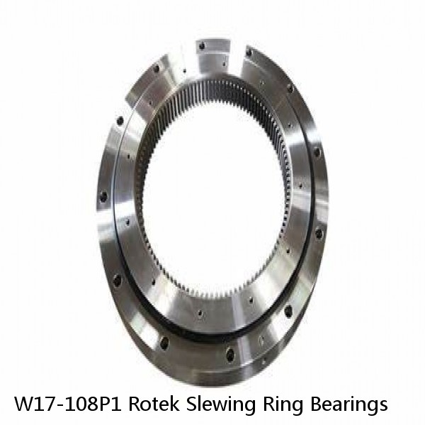 W17-108P1 Rotek Slewing Ring Bearings #1 image
