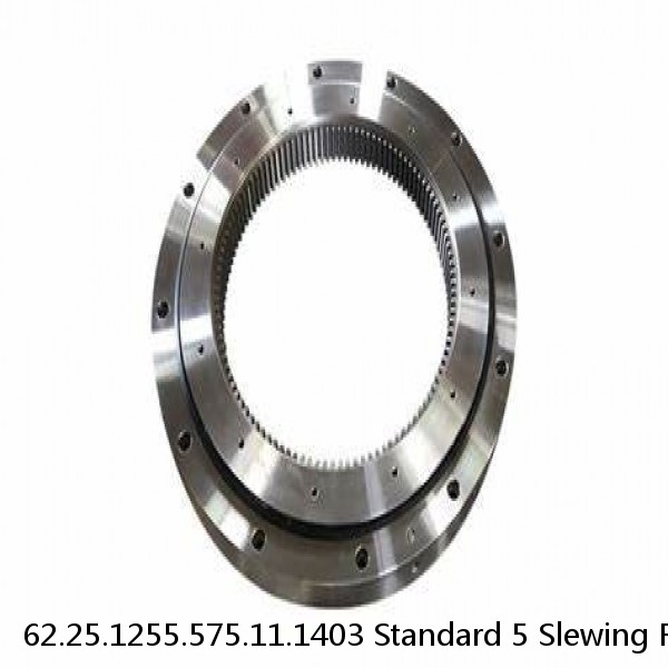 62.25.1255.575.11.1403 Standard 5 Slewing Ring Bearings #1 image