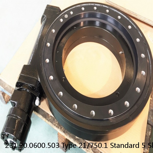 231.20.0600.503 Type 21/750.1 Standard 5 Slewing Ring Bearings #1 image