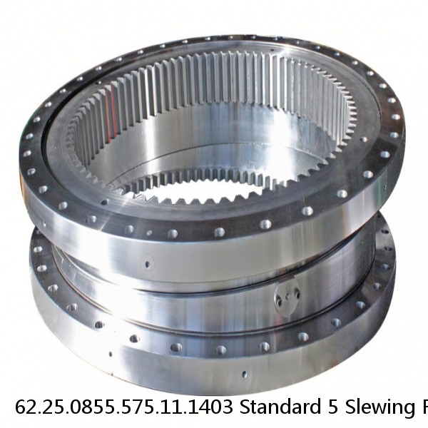 62.25.0855.575.11.1403 Standard 5 Slewing Ring Bearings #1 image