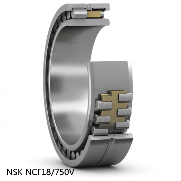 NCF18/750V NSK CYLINDRICAL ROLLER BEARING #1 image