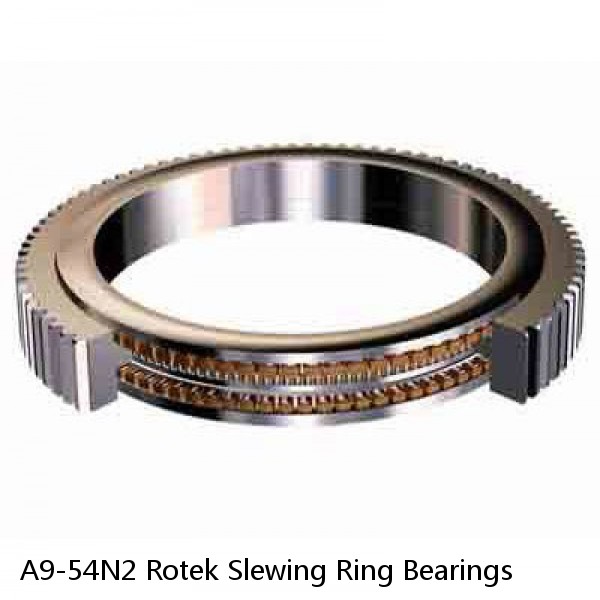 A9-54N2 Rotek Slewing Ring Bearings #1 image