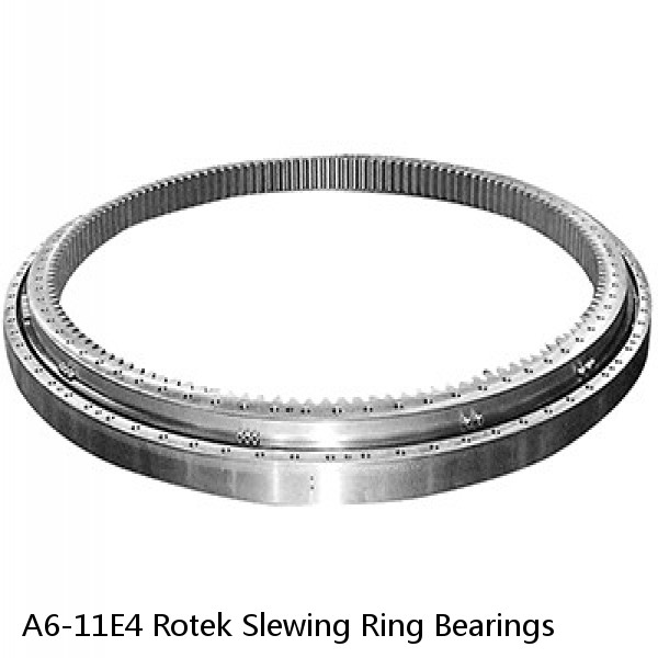 A6-11E4 Rotek Slewing Ring Bearings #1 image