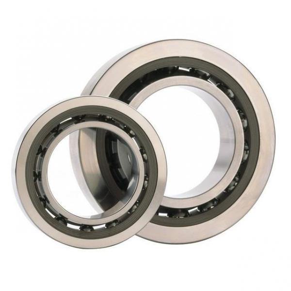55 mm x 120 mm x 43 mm  FAG NJ2311-E-TVP2  Cylindrical Roller Bearings #1 image