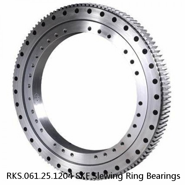 RKS.061.25.1204 SKF Slewing Ring Bearings #1 image