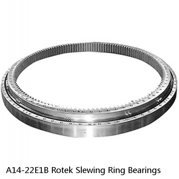 A14-22E1B Rotek Slewing Ring Bearings #1 image