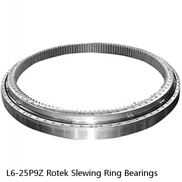 L6-25P9Z Rotek Slewing Ring Bearings #1 image