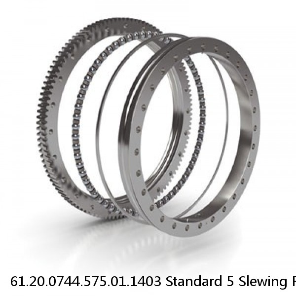61.20.0744.575.01.1403 Standard 5 Slewing Ring Bearings #1 image