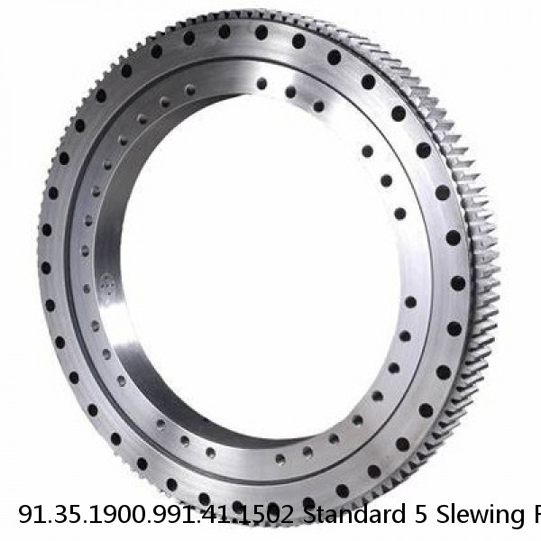 91.35.1900.991.41.1502 Standard 5 Slewing Ring Bearings #1 image