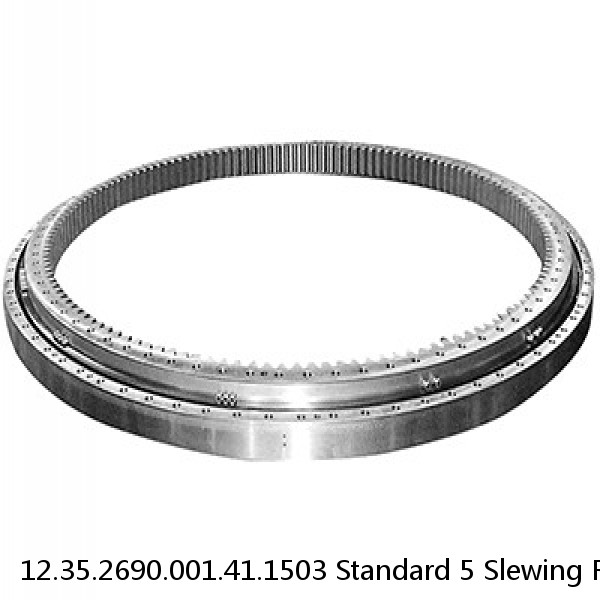 12.35.2690.001.41.1503 Standard 5 Slewing Ring Bearings #1 image