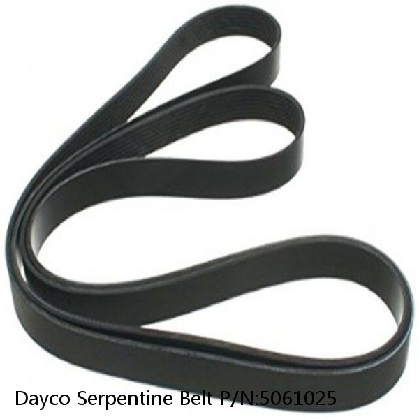 Dayco Serpentine Belt P/N:5061025 #1 image