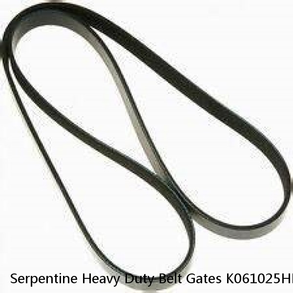 Serpentine Heavy Duty Belt Gates K061025HD Ford Explorer Sport Trac 4.6 V8  #1 image